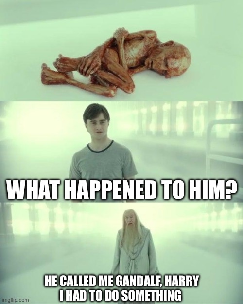 Dead Baby Voldemort / What Happened To Him | WHAT HAPPENED TO HIM? HE CALLED ME GANDALF, HARRY
I HAD TO DO SOMETHING | image tagged in dead baby voldemort / what happened to him | made w/ Imgflip meme maker