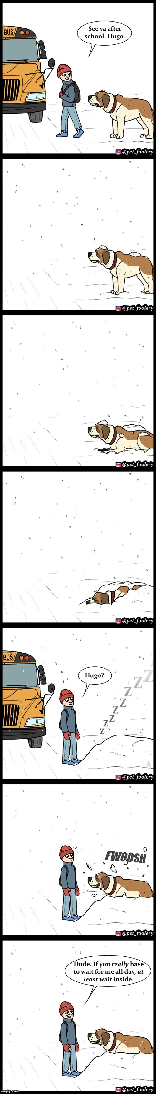 image tagged in winter,dog,school,snow,waiting,sleeping | made w/ Imgflip meme maker
