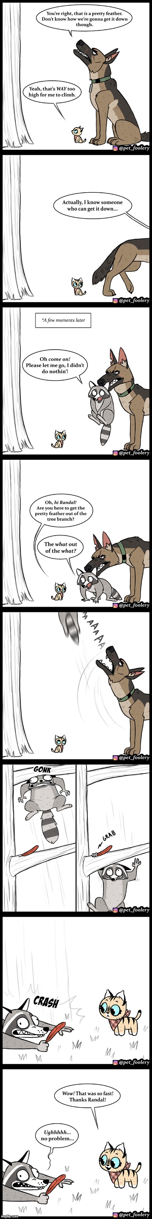 image tagged in dog,cat,racoon,throw,tree,feather | made w/ Imgflip meme maker