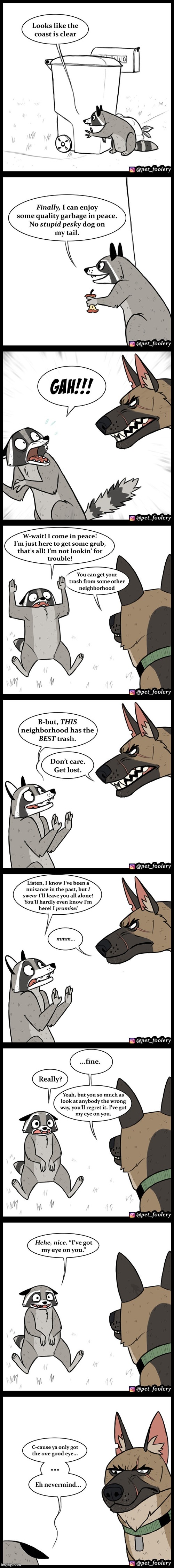 image tagged in racoon,garbage,dog,truce,eye,scared | made w/ Imgflip meme maker