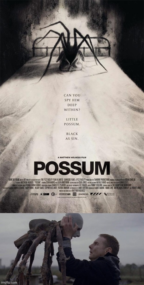 found a weird psychological one | image tagged in horror movies,weird,possum,psychology,puppet | made w/ Imgflip meme maker