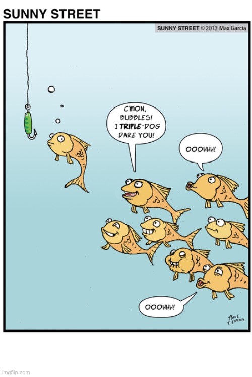 Something’s fishy about this whole situation… | image tagged in comics,sunny street,fish,dare,hook,bait | made w/ Imgflip meme maker