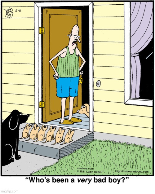 Rubes | image tagged in comics,rubes,dogs,puppies,bad boy | made w/ Imgflip meme maker