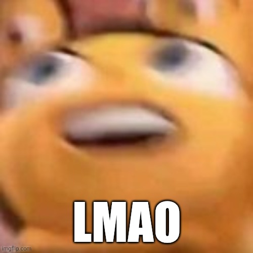 wtf lmao | LMAO | image tagged in wtf lmao | made w/ Imgflip meme maker