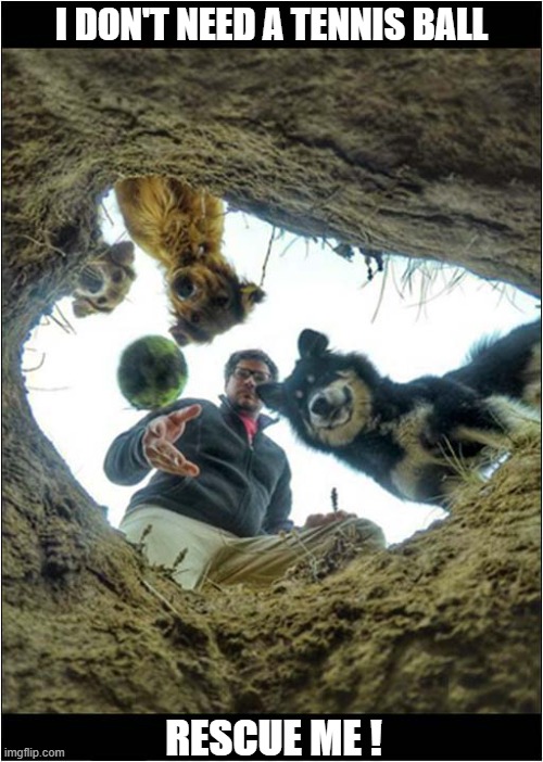 When The 'Walkies' Goes Wrong ! | I DON'T NEED A TENNIS BALL; RESCUE ME ! | image tagged in dogs,fallen,rescue | made w/ Imgflip meme maker