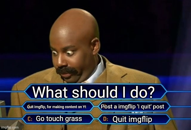 What should I do? | What should I do? Quit imgflip, for making content on Yt; Post a imgflip 'I quit' post; Go touch grass; Quit imgflip | image tagged in who wants to be a millionaire | made w/ Imgflip meme maker
