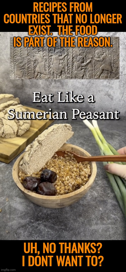 Eat like a Sumerian peasant | RECIPES FROM COUNTRIES THAT NO LONGER EXIST.  THE FOOD IS PART OF THE REASON. UH, NO THANKS? I DONT WANT TO? | image tagged in sumerian,peasant,grain,fiber,funny | made w/ Imgflip meme maker