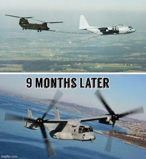 Nice Family | image tagged in aviation,military,climbing,sky,lattice climbing,funny | made w/ Imgflip meme maker