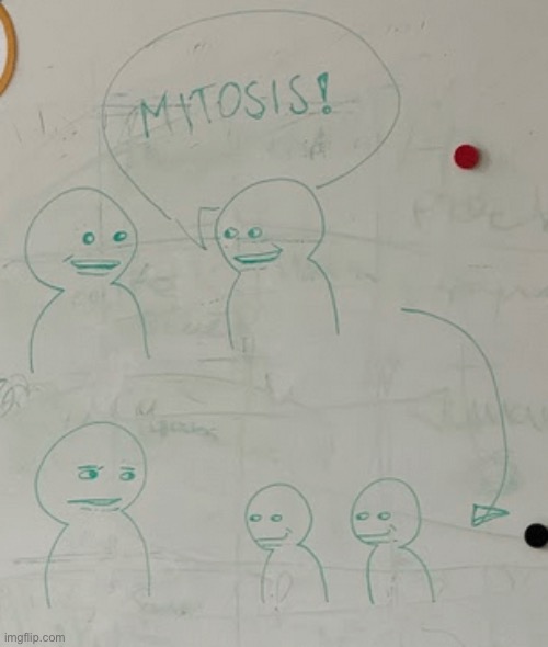 Lmao | made w/ Imgflip meme maker