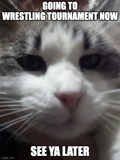 Sour Hart announcement template | GOING TO WRESTLING TOURNAMENT NOW; SEE YA LATER | image tagged in sour hart announcement template | made w/ Imgflip meme maker