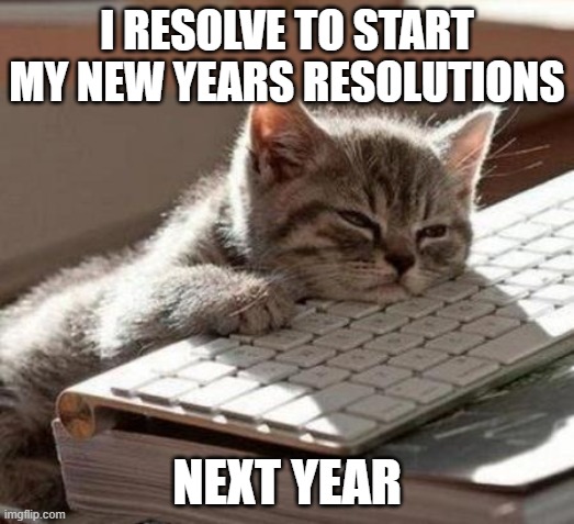 I totally didn't forget to make some this time around i swear | I RESOLVE TO START MY NEW YEARS RESOLUTIONS; NEXT YEAR | image tagged in tired cat | made w/ Imgflip meme maker