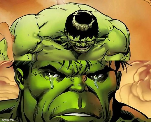 Crying Hulk | image tagged in crying hulk | made w/ Imgflip meme maker