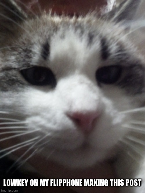 Sour Hart announcement template | LOWKEY ON MY FLIPPHONE MAKING THIS POST | image tagged in sour hart announcement template | made w/ Imgflip meme maker