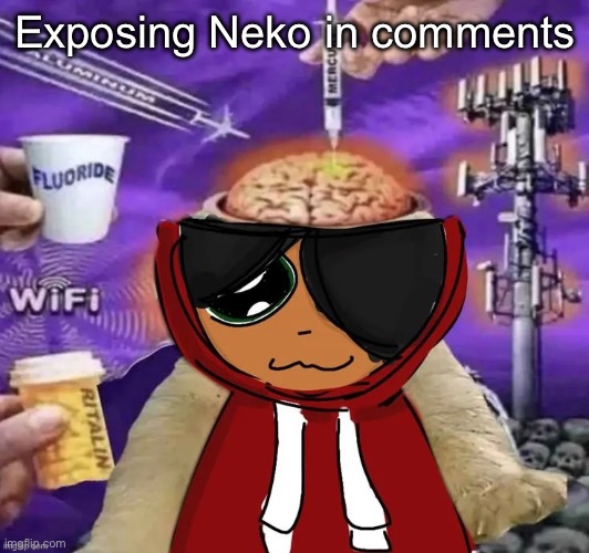 Maya | Exposing Neko in comments | image tagged in maya | made w/ Imgflip meme maker