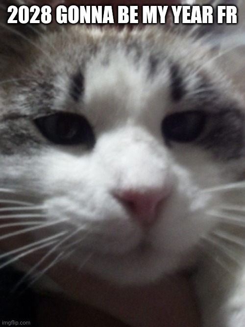 Sour Hart announcement template | 2028 GONNA BE MY YEAR FR | image tagged in sour hart announcement template | made w/ Imgflip meme maker