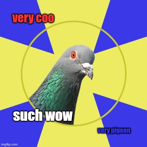 religion pigeon | very coo; such wow; very pigeon | image tagged in religion pigeon | made w/ Imgflip meme maker