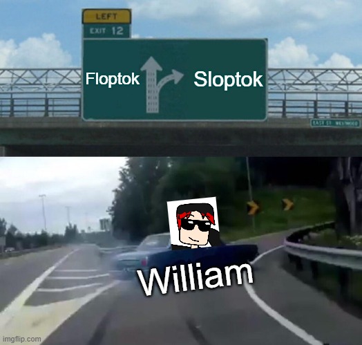 William choosing the nickname ''sloptok'' over the actual flop culture. | Floptok; Sloptok; William | image tagged in memes,left exit 12 off ramp,william,floptok | made w/ Imgflip meme maker