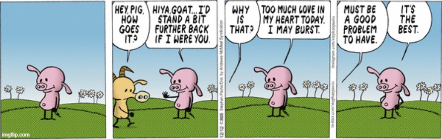 Pearls Before Swine | image tagged in comics | made w/ Imgflip meme maker