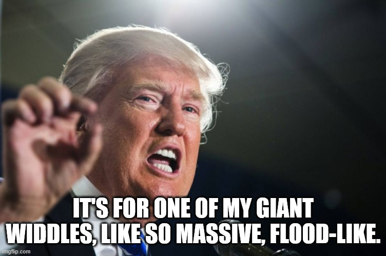 donald trump | IT'S FOR ONE OF MY GIANT WIDDLES, LIKE SO MASSIVE, FLOOD-LIKE. | image tagged in donald trump | made w/ Imgflip meme maker