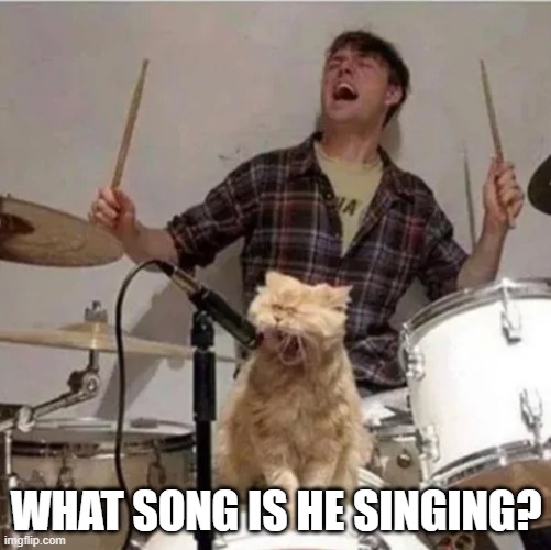 Cat Songs | WHAT SONG IS HE SINGING? | image tagged in music | made w/ Imgflip meme maker