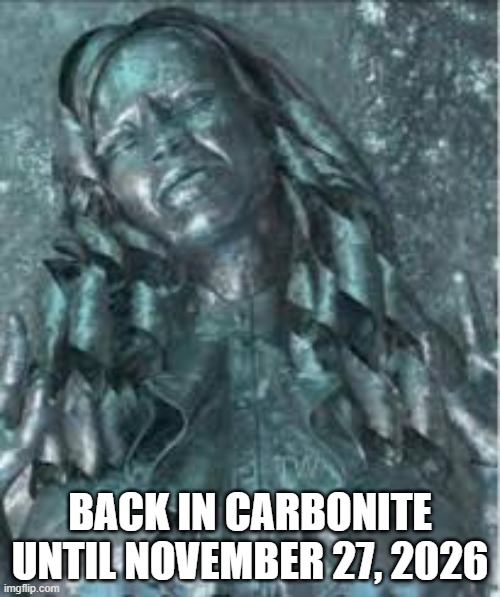 Mariah Frozen Again | BACK IN CARBONITE UNTIL NOVEMBER 27, 2026 | image tagged in music | made w/ Imgflip meme maker