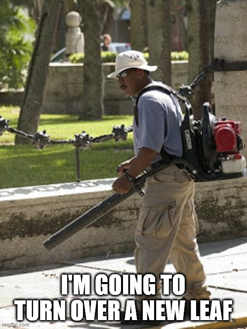 Leaf blower | I'M GOING TO TURN OVER A NEW LEAF | image tagged in leaf blower | made w/ Imgflip meme maker