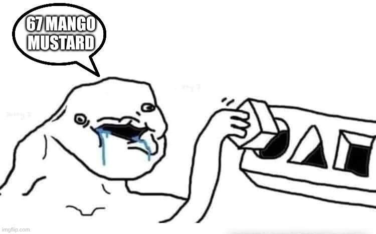 Stupid dumb drooling puzzle | 67 MANGO MUSTARD | image tagged in stupid dumb drooling puzzle | made w/ Imgflip meme maker