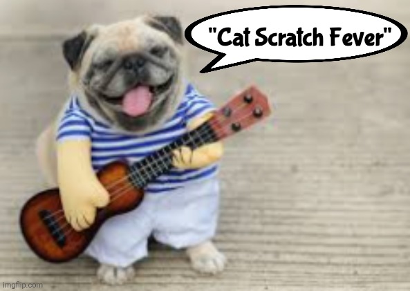 Doggo with Ukulele | "Cat Scratch Fever" | image tagged in doggo with ukulele | made w/ Imgflip meme maker