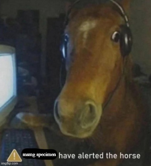 new template | msmg specimen | image tagged in x have alerted the horse,what | made w/ Imgflip meme maker