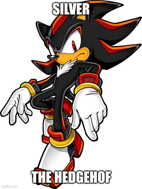 SILVER THE HEDGEHOF | made w/ Imgflip meme maker