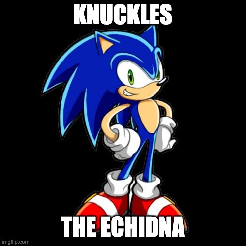 You're Too Slow Sonic Meme | KNUCKLES THE ECHIDNA | image tagged in memes,you're too slow sonic | made w/ Imgflip meme maker
