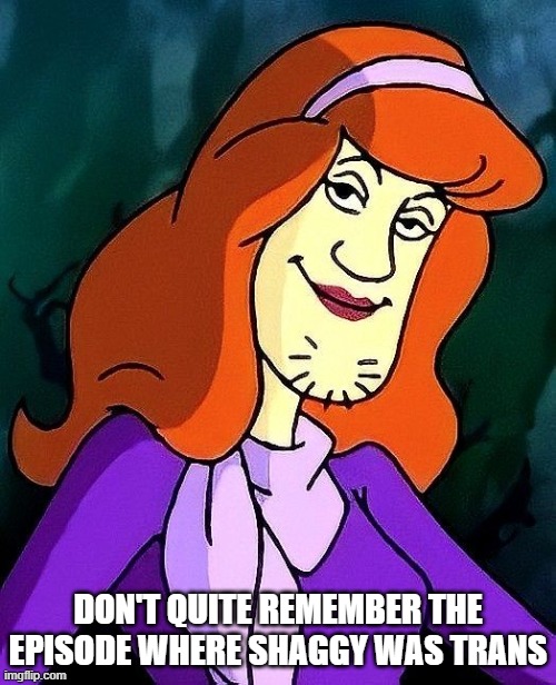 Trans Shaggy | DON'T QUITE REMEMBER THE EPISODE WHERE SHAGGY WAS TRANS | image tagged in cartoons,scooby doo | made w/ Imgflip meme maker