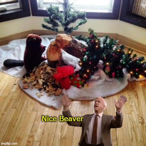 "Nothing to see here, Move along" | Nice Beaver | image tagged in beaver xmas tree leslie move along meme | made w/ Imgflip meme maker