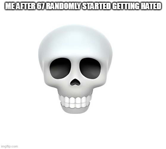 Skull | ME AFTER 67 RANDOMLY STARTED GETTING HATED | image tagged in skull | made w/ Imgflip meme maker