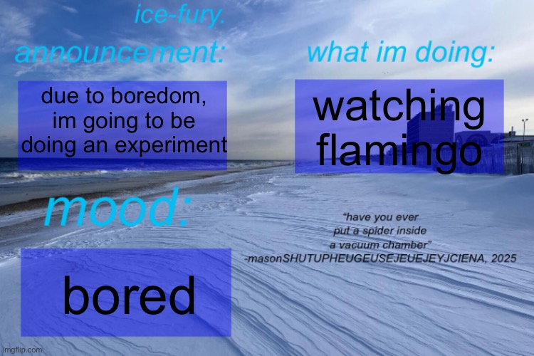 ice-fury. template | watching flamingo; due to boredom, im going to be doing an experiment; bored | image tagged in ice-fury template | made w/ Imgflip meme maker