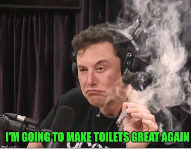 Elon Musk smoking a joint | I'M GOING TO MAKE TOILETS GREAT AGAIN | image tagged in elon musk smoking a joint | made w/ Imgflip meme maker