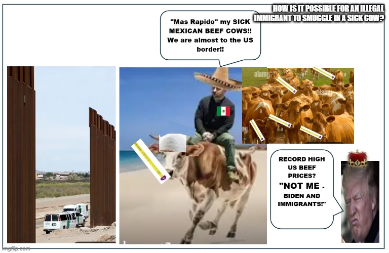 Record High Beef Prices | HOW IS IT POSSIBLE FOR AN ILLEGAL IMMIGRANT TO SMUGGLE IN A SICK COW? | image tagged in record high beef prices | made w/ Imgflip meme maker