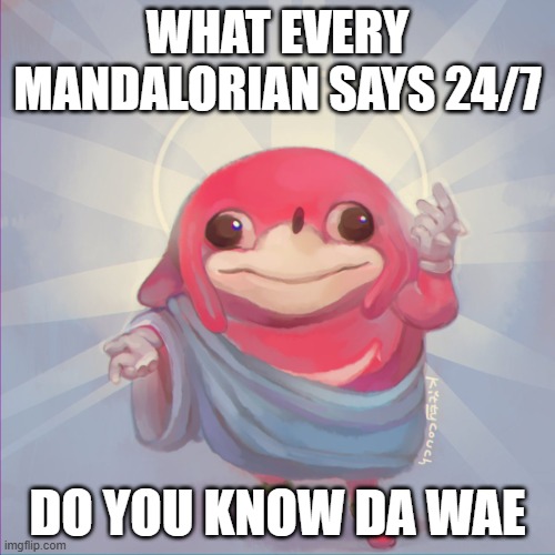 This is true | WHAT EVERY MANDALORIAN SAYS 24/7; DO YOU KNOW DA WAE | image tagged in do you know da wae | made w/ Imgflip meme maker