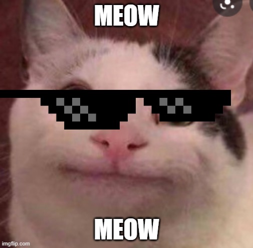 Aura Farming Cat | MEOW; MEOW | image tagged in beluga cat | made w/ Imgflip meme maker