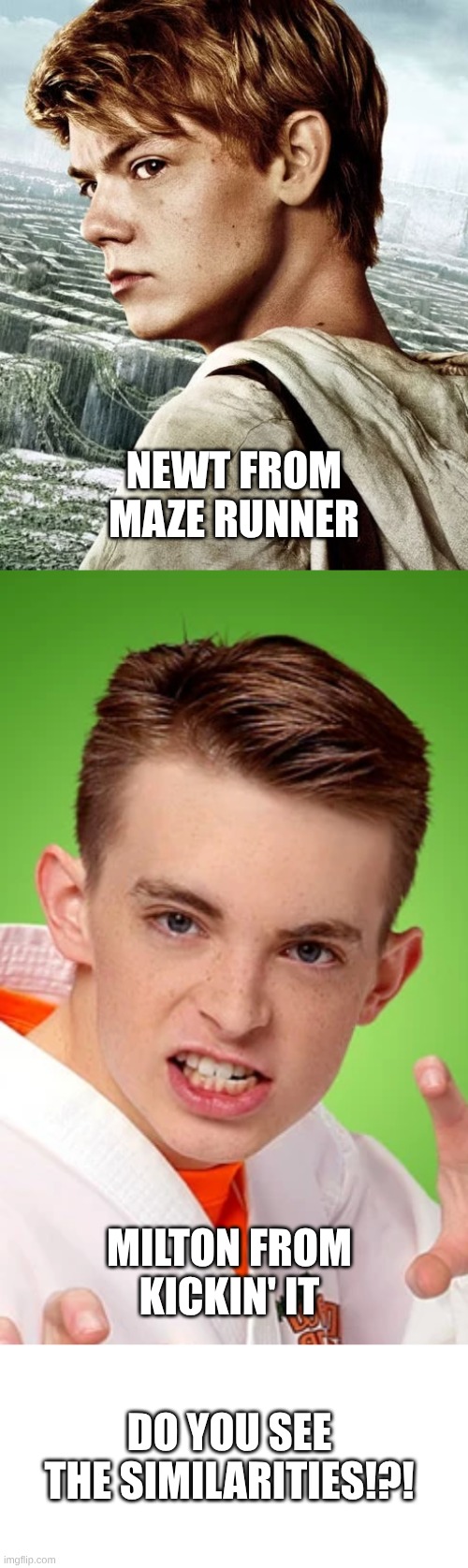 all respect for newt | NEWT FROM MAZE RUNNER; MILTON FROM KICKIN' IT; DO YOU SEE THE SIMILARITIES!?! | image tagged in blank white template,meme | made w/ Imgflip meme maker