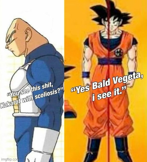 What even is my feed anymore | made w/ Imgflip meme maker