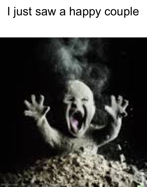 disintegrating baby | I just saw a happy couple | image tagged in disintegrating baby | made w/ Imgflip meme maker