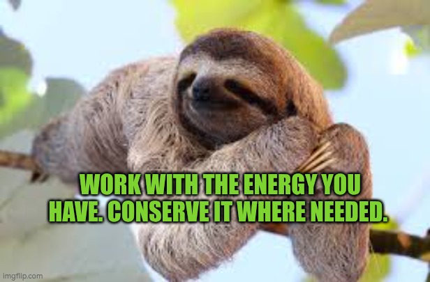 Work with the energy you have. Conserve it where needed. | WORK WITH THE ENERGY YOU HAVE. CONSERVE IT WHERE NEEDED. | image tagged in potential energy,autism,energy,battery,focus | made w/ Imgflip meme maker
