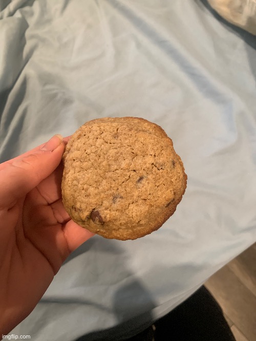 Big ass cookie | made w/ Imgflip meme maker