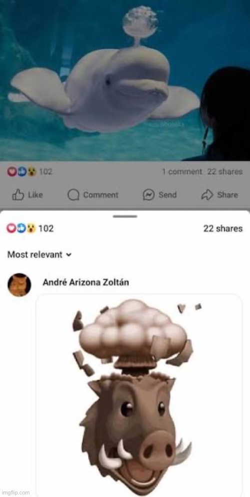 made w/ Imgflip meme maker