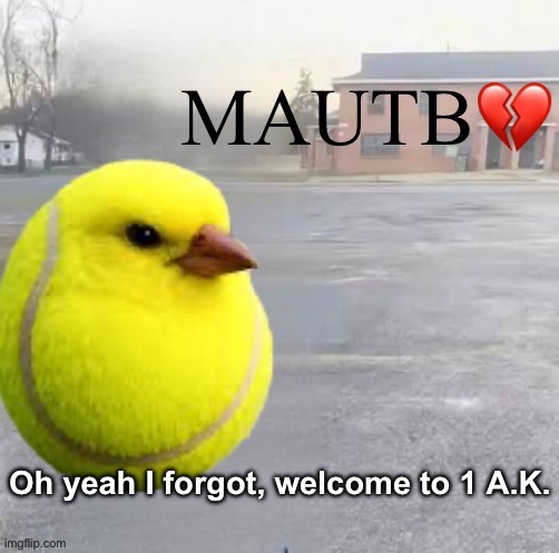 Mods Asleep, Upvote Tennis Bird | Oh yeah I forgot, welcome to 1 A.K. | image tagged in mods asleep upvote tennis bird | made w/ Imgflip meme maker