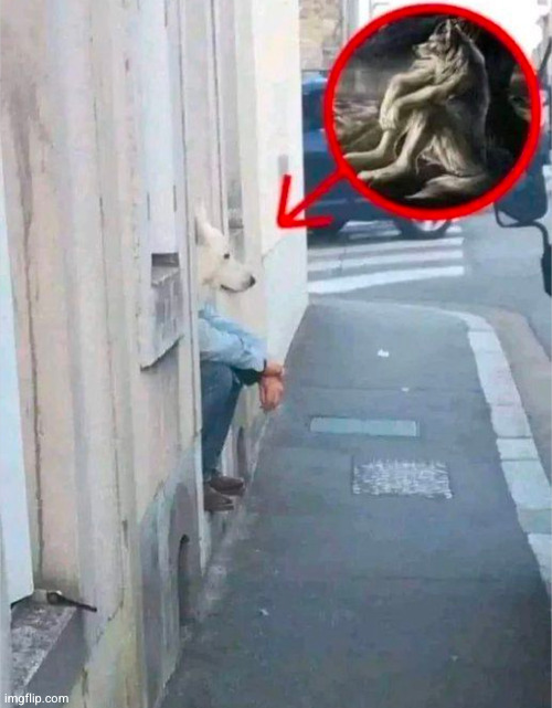 nonchalant | image tagged in nonchalant,alpha,wolf,sigma,leader,wolves | made w/ Imgflip meme maker