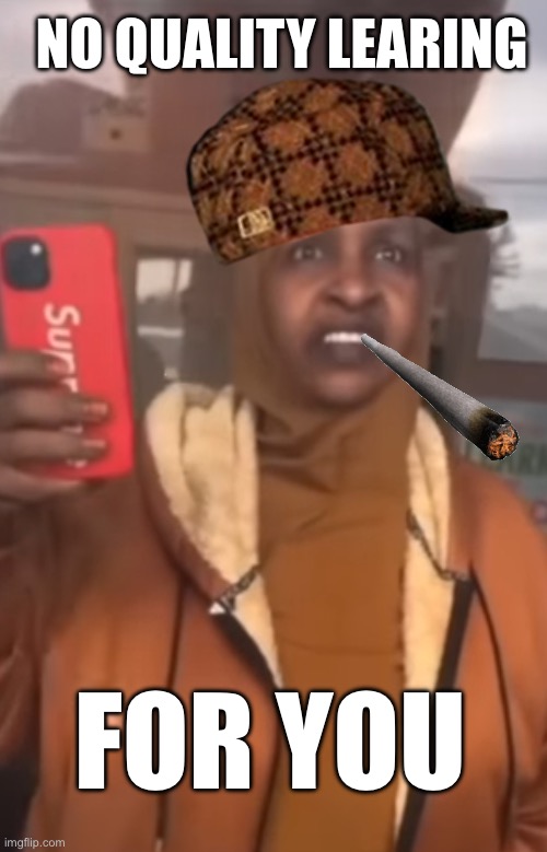 Oscar Meyer Learing Center | NO QUALITY LEARING; FOR YOU | image tagged in oscar meyer learing center | made w/ Imgflip meme maker