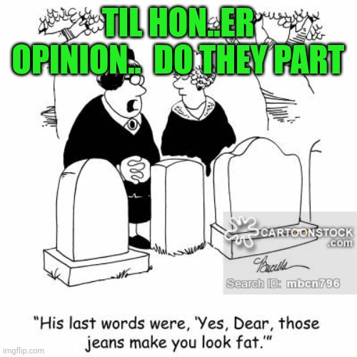 Marriage | TIL HON..ER OPINION..  DO THEY PART | image tagged in marriage | made w/ Imgflip meme maker