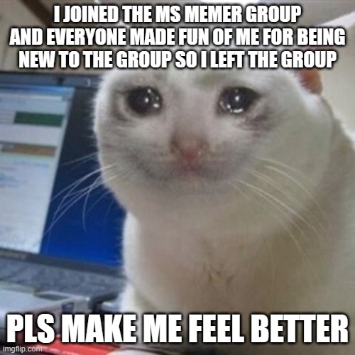:( | I JOINED THE MS MEMER GROUP AND EVERYONE MADE FUN OF ME FOR BEING NEW TO THE GROUP SO I LEFT THE GROUP; PLS MAKE ME FEEL BETTER | image tagged in crying cat | made w/ Imgflip meme maker